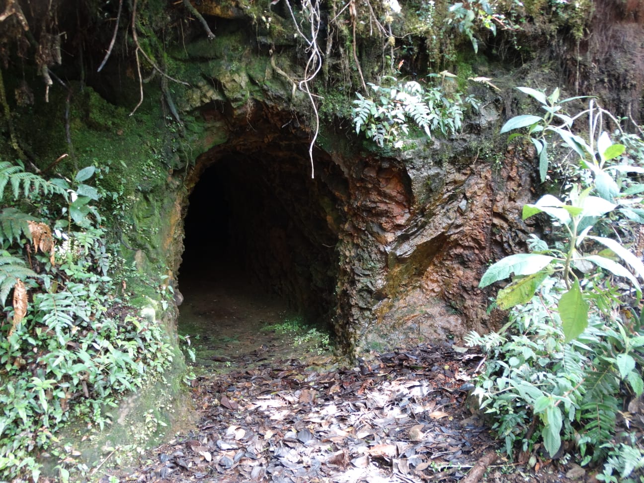 Socavón de minería en el Parque Nacional Natural Farallones de Cali. Crédito: Paper Bioaccumulation of mercury in direct-developing frogs: The aftermath of illegal gold mining in a National Park. Cuellar et al.