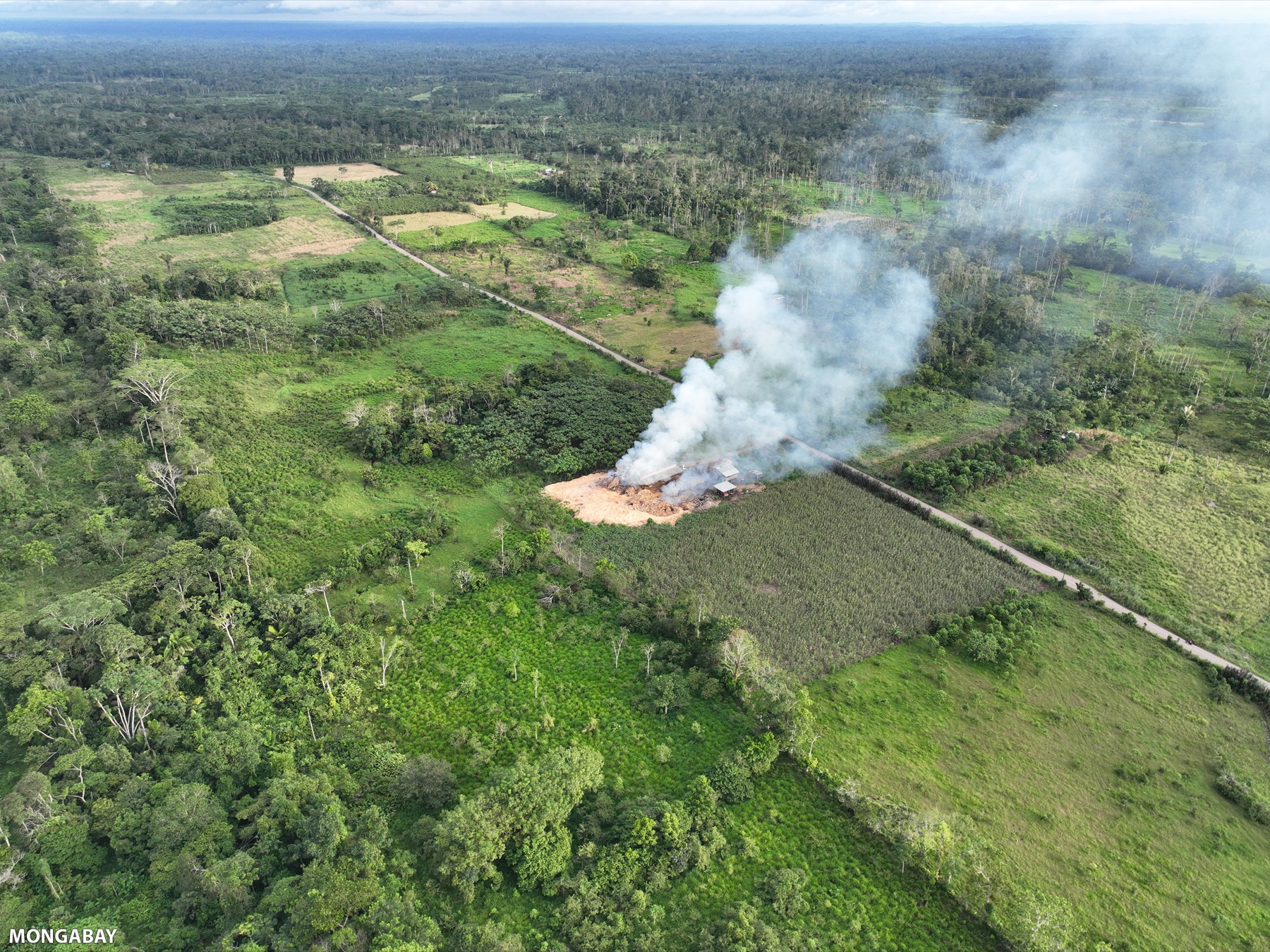 Una planta de procesamiento y quema de desechos de balsa ubicada en la Vía a Loreto. Foto: Rhett A. Butler.