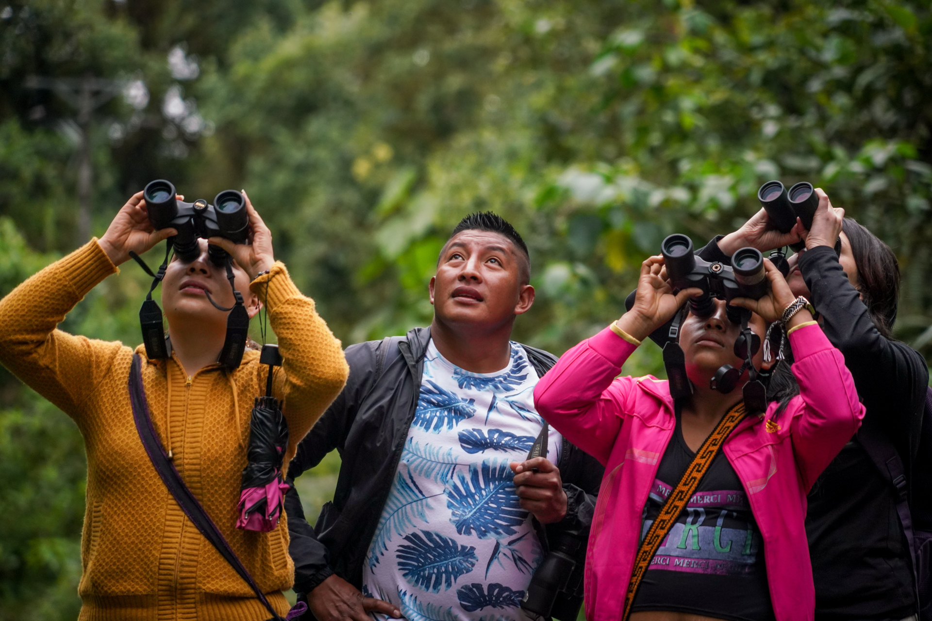 El avistamiento de aves es una de las actividades en La Planada. Hay más de 300 especies de orquídeas y de aves, algunas endémicas; 80 especies de mamíferos, entre ellas, el oso de anteojos (Tremarctos ornatus); 43 especies de anfibios, dos amenazadas; y 21 especies de reptiles. Crédito: Instituto Humboldt.