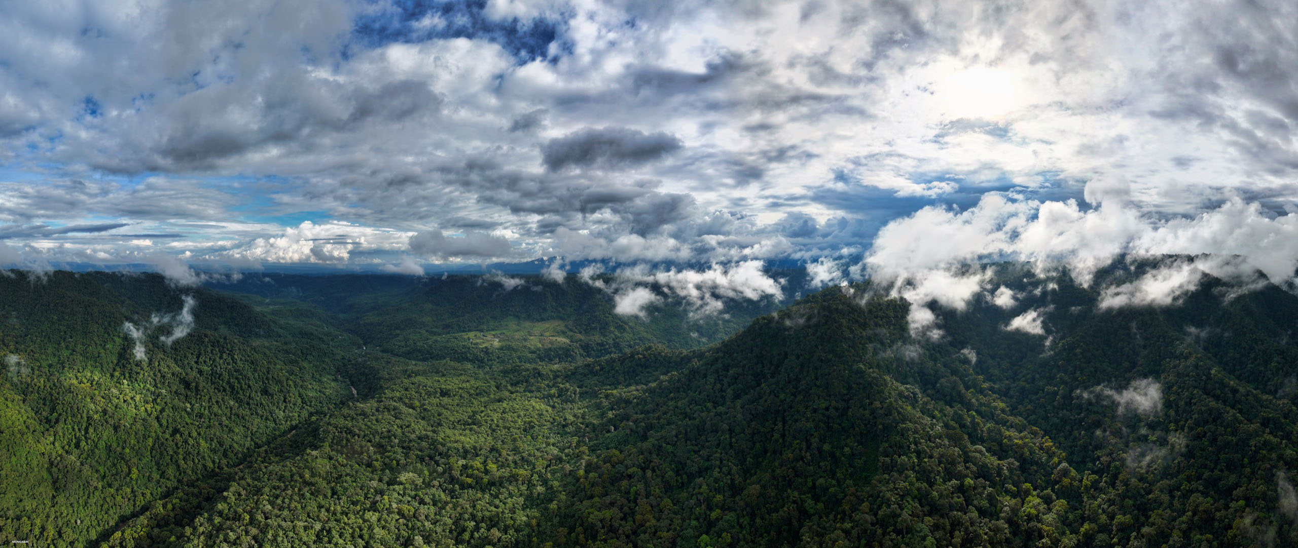 La selva amazónica en la Reserva Narupa. Crédito de la foto: Rhett A. Butler.