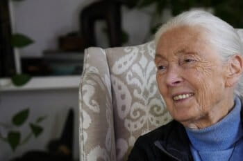 Imagen principal: Jane Goodall cumplió 90 años y contó sus perspectivas sobre la fama, la esperanza y la empatía en medio de una entrevista realizada por Rhett Butler, fundador de Mongabay. Foto: Rhett Butler.