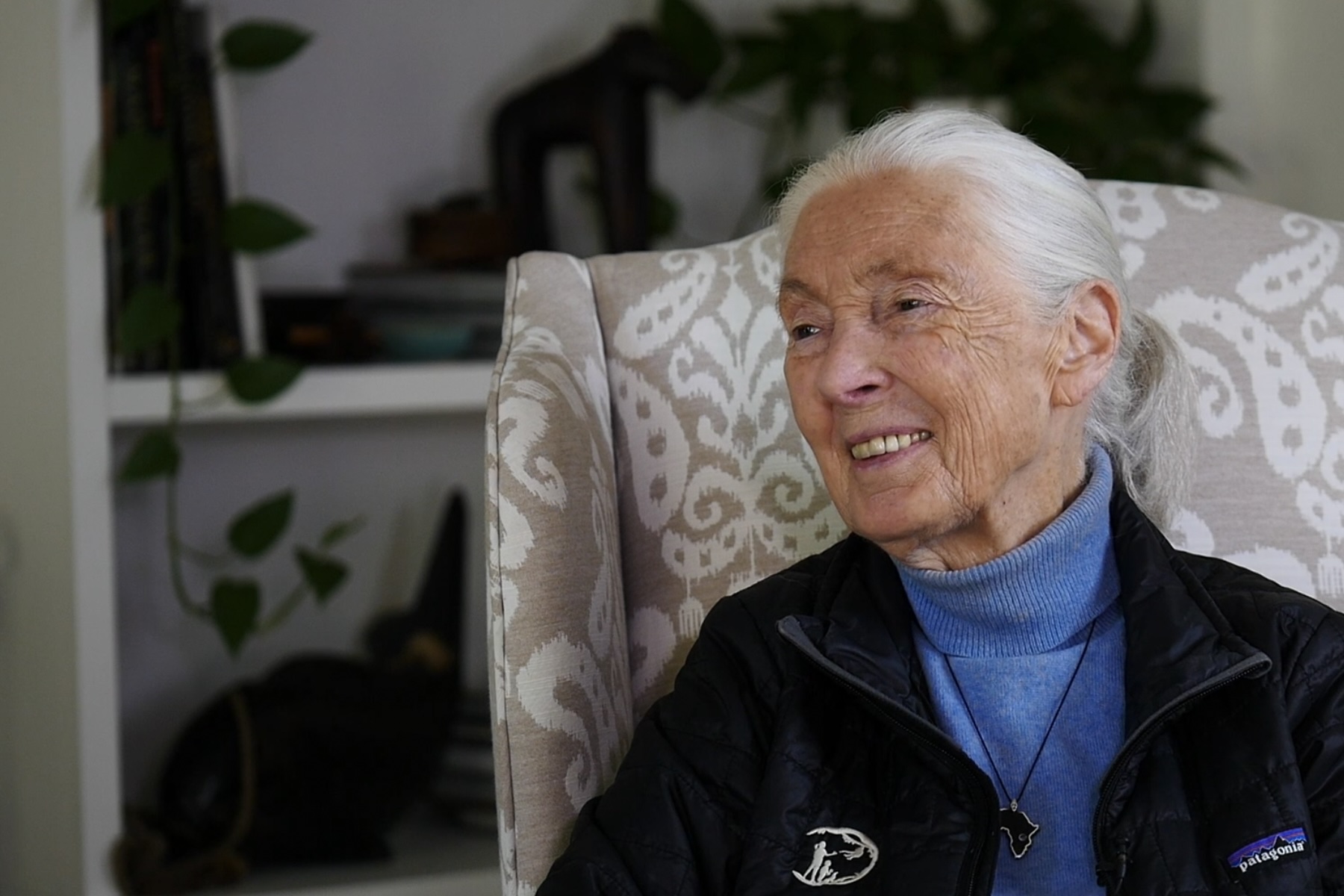 Imagen principal: Jane Goodall cumplió 90 años y contó sus perspectivas sobre la fama, la esperanza y la empatía en medio de una entrevista realizada por Rhett Butler, fundador de Mongabay. Foto: Rhett Butler.