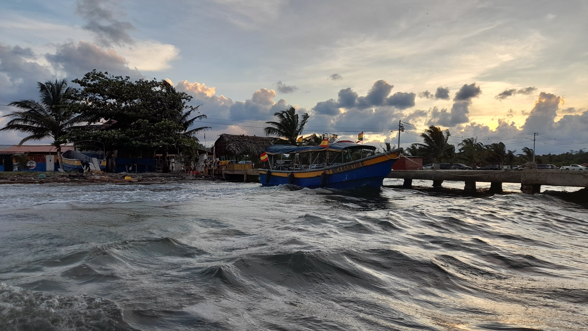 Los arrecifes de coral en riesgo de desaparecer: la alarmante fragilidad de los arrecifes frente a la crisis climática – Noticias Ambientales