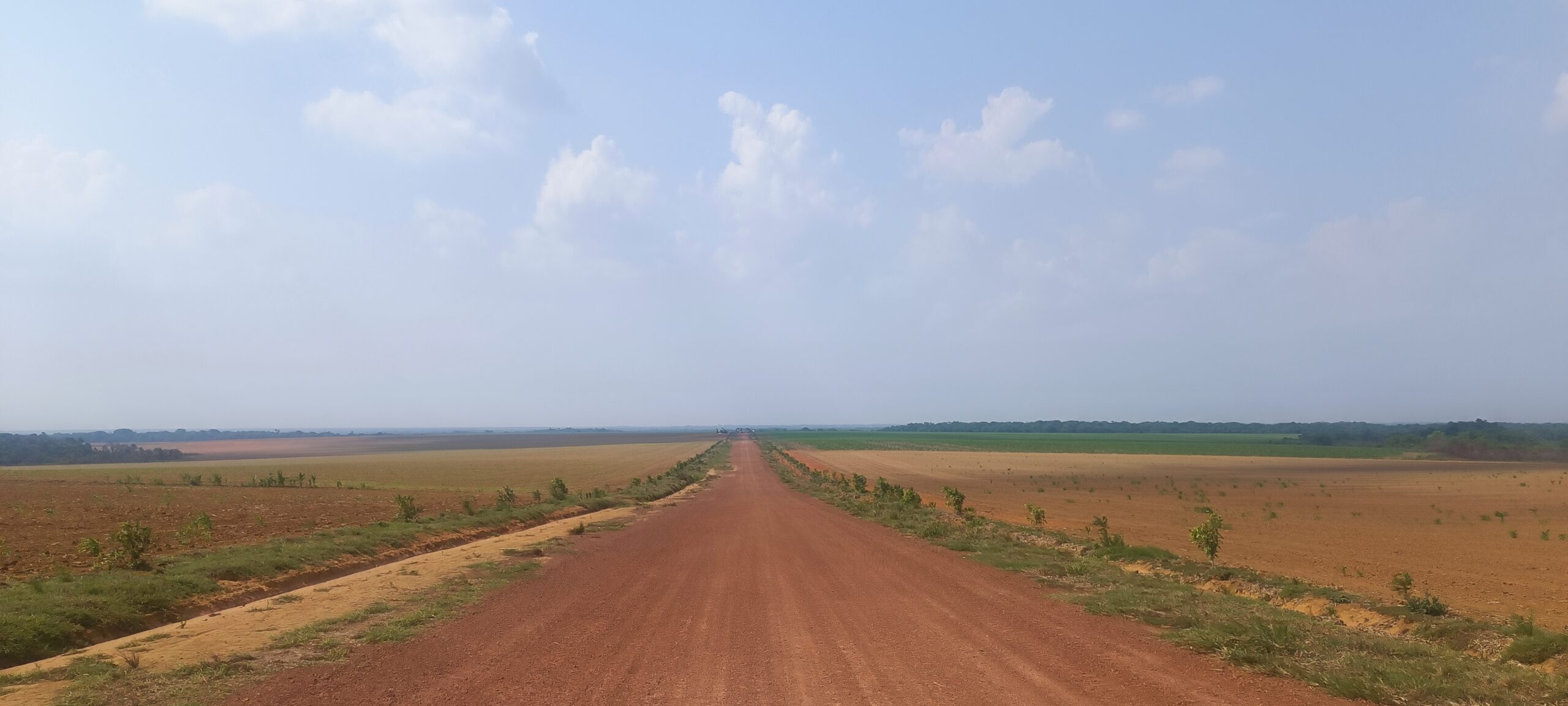 Extensas llanuras para el cultivo de maíz y soya, acompañados de nuevas vías son el paisaje en el territorio en disputa. Foto: Rutas del Conflicto/Mongabay Latam.