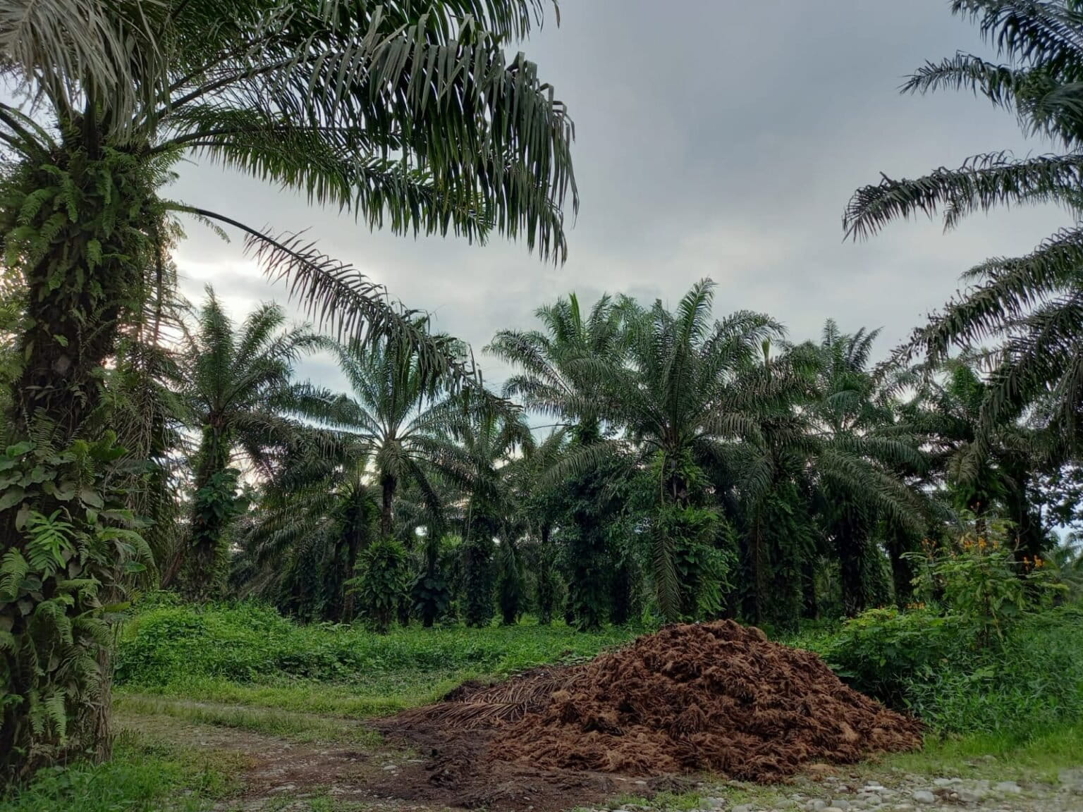 FOTO-ALEXIS-3-1536x1152