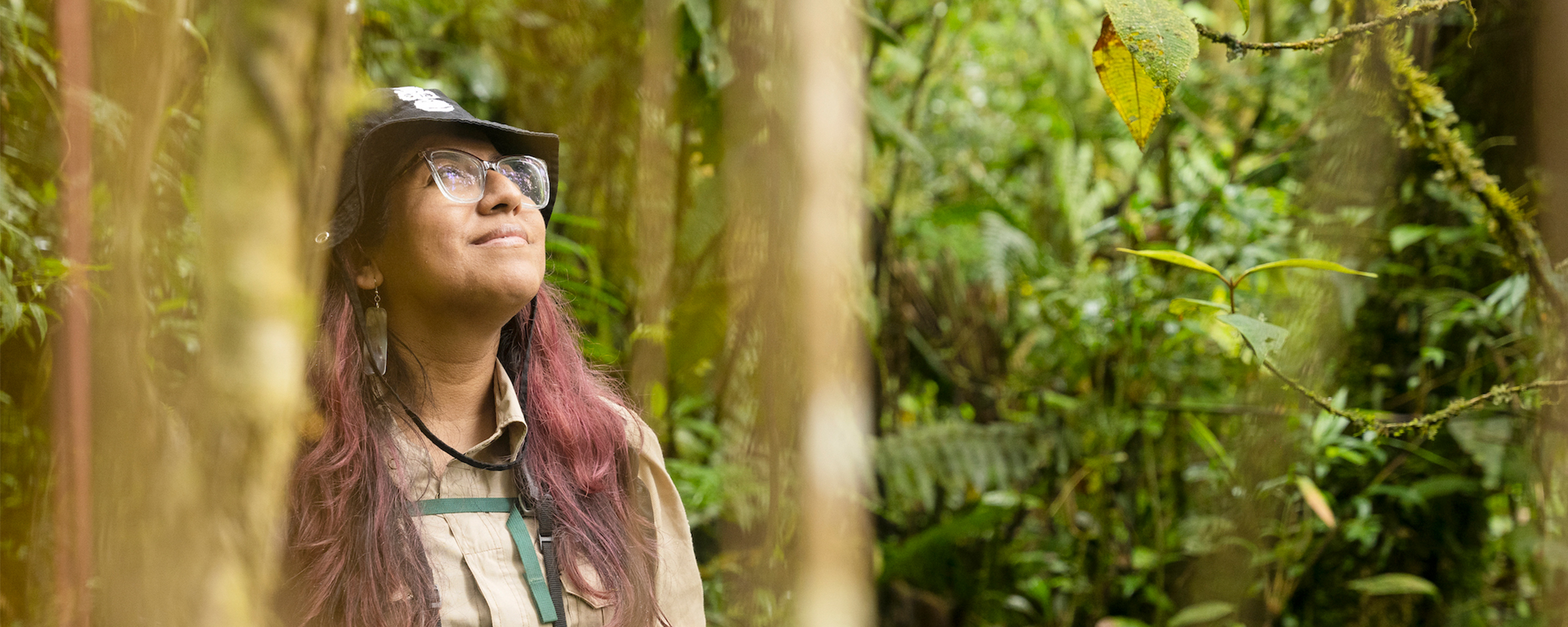 Cornejo lleva más de 15 años trabajando por la conservación del mono choro de cola amarilla, de la mano con comunidades amazónicas y andinas de los Andes Tropicales del Perú. Foto: GersonFerrer / Yunkawasi