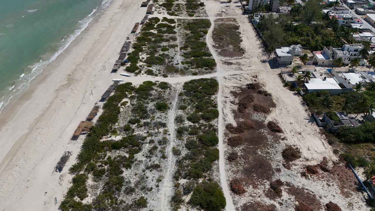 Toma aérea de retiro de vegetación en Sisal