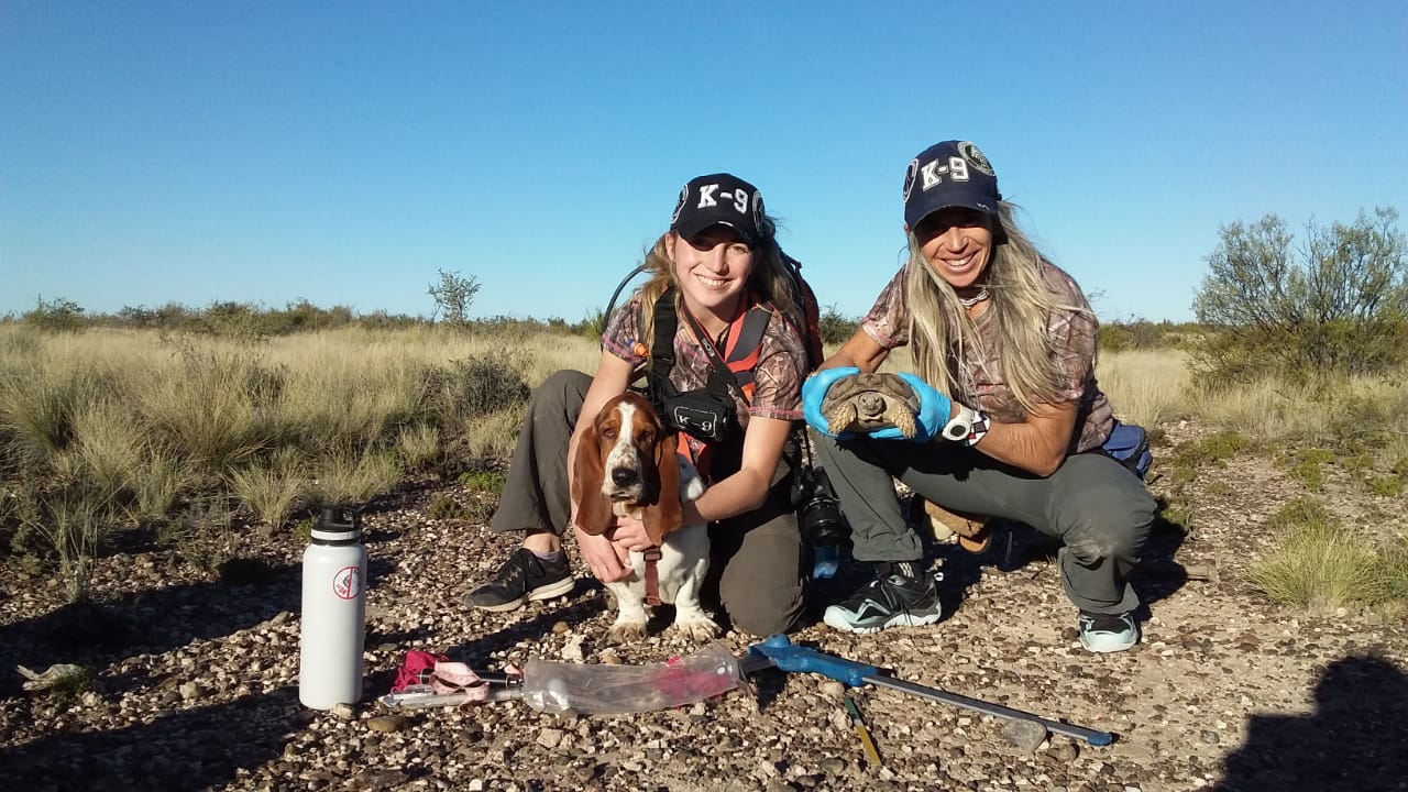Kenya Campos Haedo y Alex Tersoglio son las entrenadoras de los perros que apoyan en las tareas de conservación de tortugas terrestres. Foto: cortesía Programa de Conservación de Tortugas Terrestres en Patagonia.