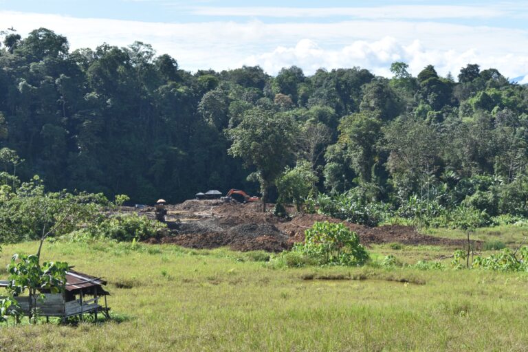 El 52,34 % de la zona de amortiguamiento del Parque Nacional Cotacachi-Cayapas está concesionado a la minería legal. A estas concesiones se le suma la minería ilegal. Foto: Cortesía