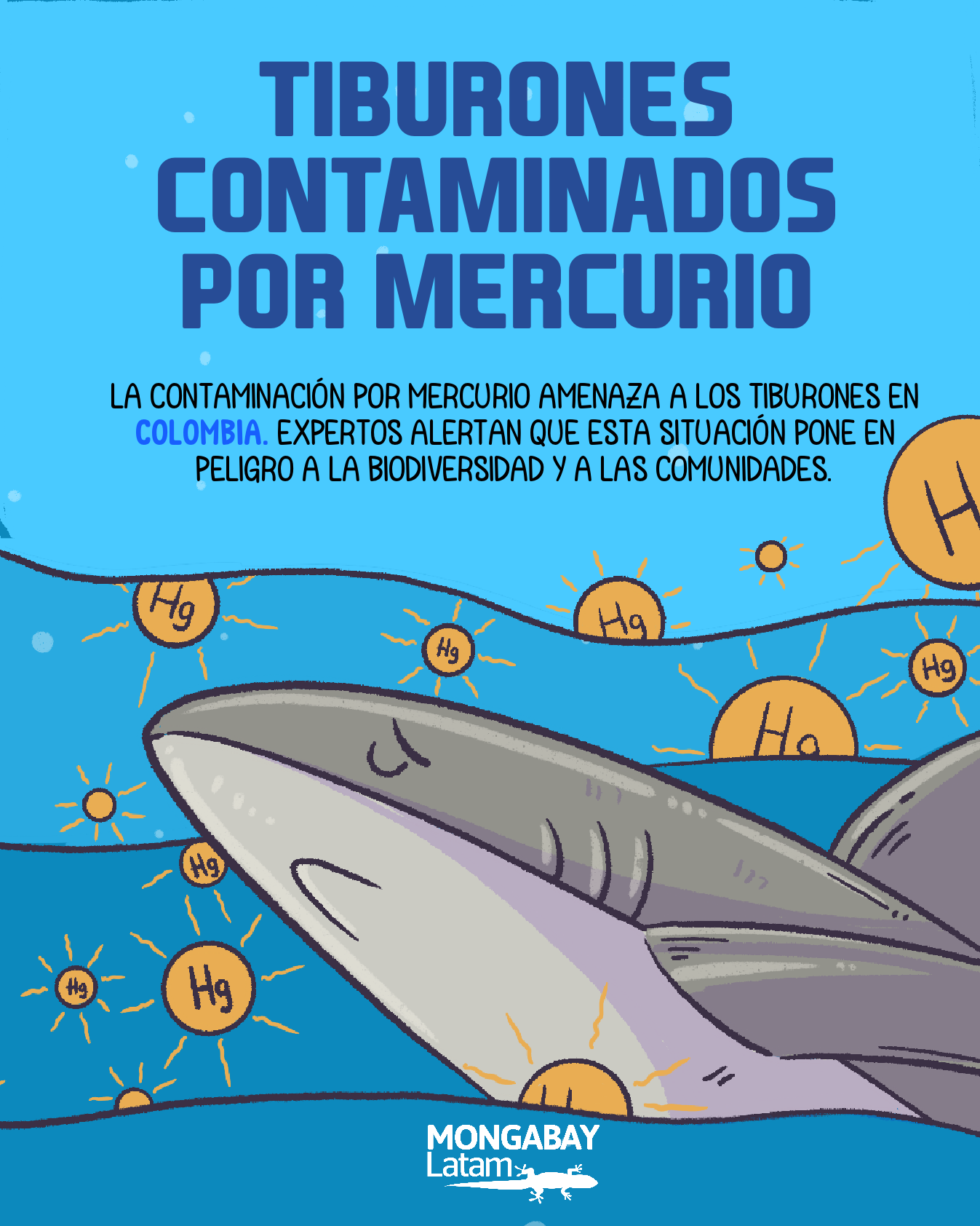 Historia gráfica | Contaminación por mercurio amenaza a los tiburones en Colombia