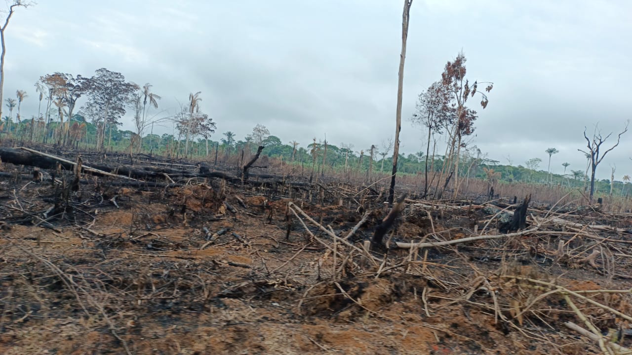 A un costado de la vía se pueden ver recientes quemas de bosque nativo. Foto: César Molinares