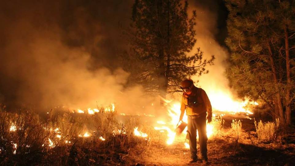 Guardia forestal en medio del fuego
