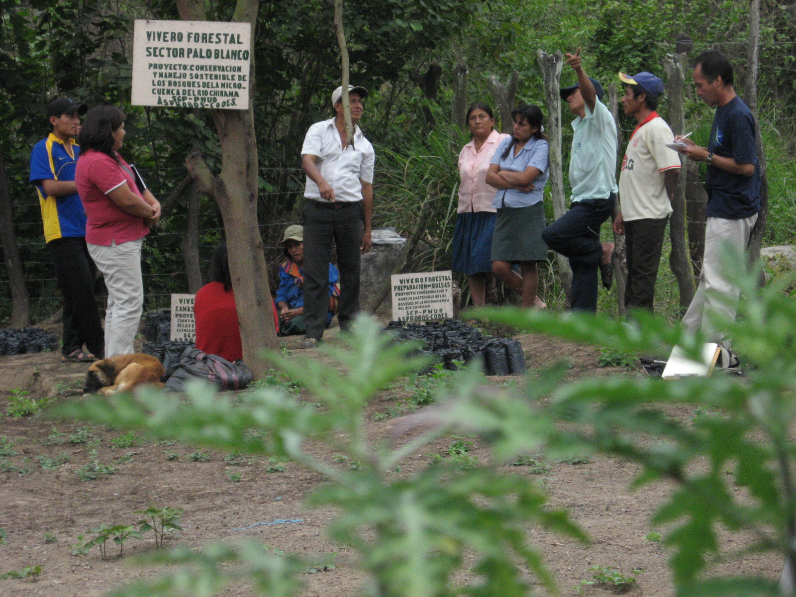 Los socios de Asprobos trabajan desde 2002 por la recuperación de los bosques secos con tareas de reforestación y apuesta por negocios sustentables. Foto: cortesía Patricia Medina