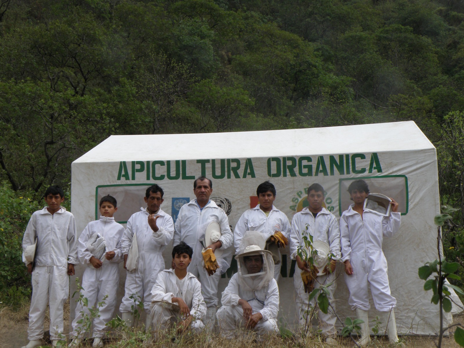 Tras el nacimiento de Asprobos, los comuneros de Choloque dejaron las motosierras y las hachas para dedicarse a la apicultura como un negocio sostenible y amigable con el ambiente. Foto: cortesía Asprobos