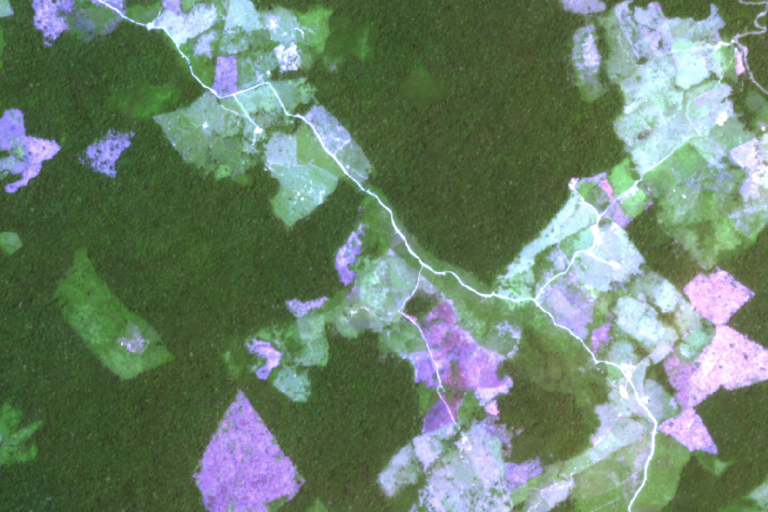 Avance de la deforestación en la vía de Cartagena de Chairá que se abre paso hacia el PNN Chiribiquete. Foto: Google Earth