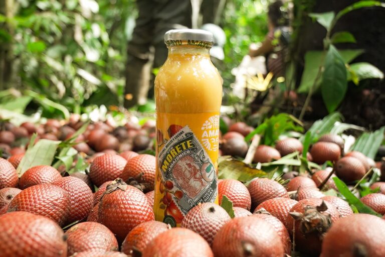 Este es el producto elaborado en Perú con la pulpa de morete exportada desde el cantón Arajuno, en la Amazonía ecuatoriana. Foto: cortesía Pablo Balarezo, Fundación Pachamama