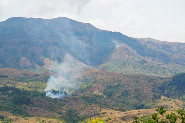 DSC01122-Burning-the-land–1200×800