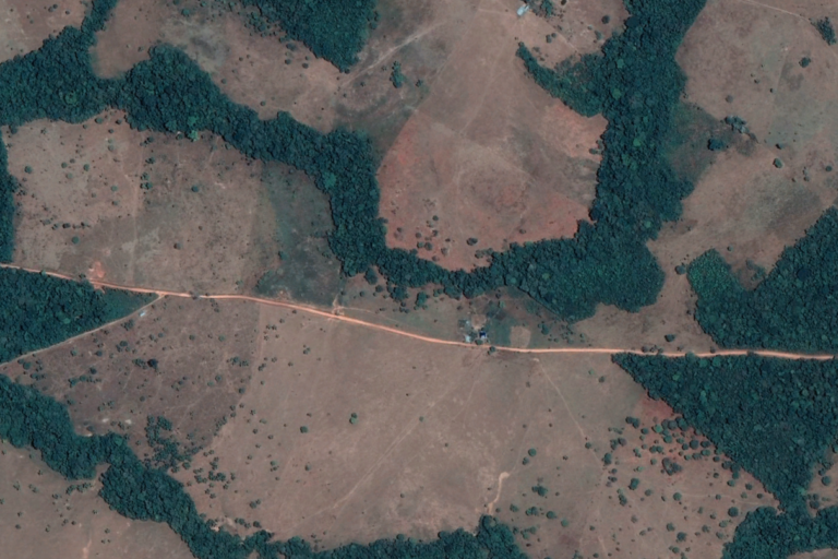 Imagen satelital de la deforestación generada a partir de uno de los tramos ilegales de la Marginal de la Selva. Foto: Google Earth - Mongabay Latam