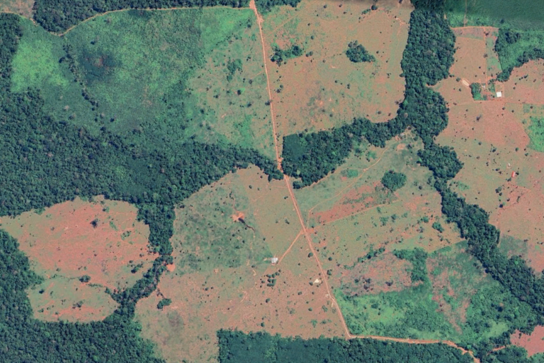 Avance de la deforestación provocada por vías ilegales que amenazan el área protegida PNN Serranía de Chiribiquete. Foto: Google Earth - Mongabay Latam