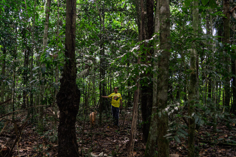 Félix cuenta que tener un parque en conservación es incluso positivo para el ganado porque le ofrece un lugar para descansar del sol y tomar agua fresca. Foto: Kamila Moreno.