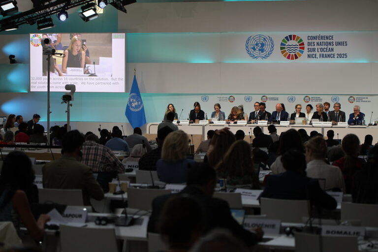 Dos temas clave para la salud de los océanos, la reducción de los combustibles fósiles y la sobrepesca, quedaron fuera de la discusión. Foto: Naciones Unidas