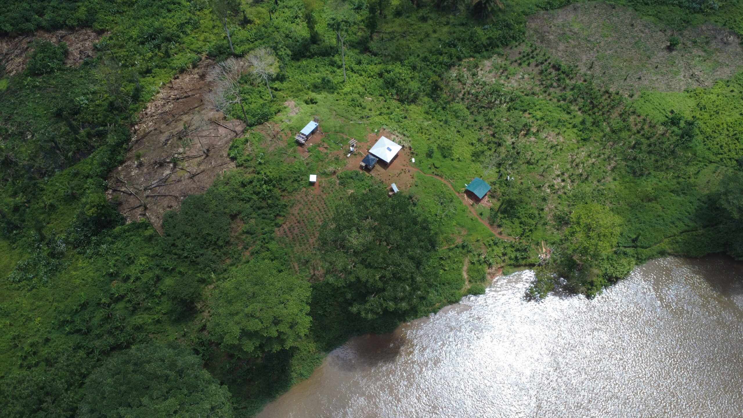Foto aérea del proceso de invasión y tala e bosque húmedo de Nicaragua