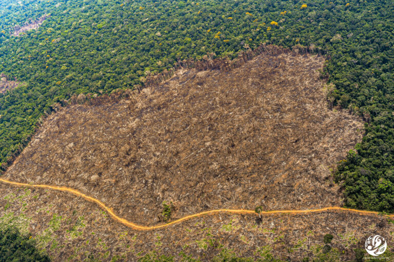 Foto aérea de deforestación en Guaviare, Colombia