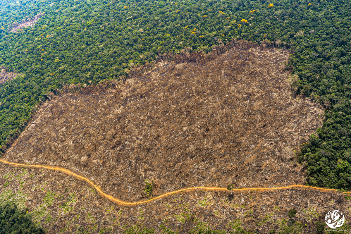 Foto aérea de deforestación en Guaviare, Colombia
