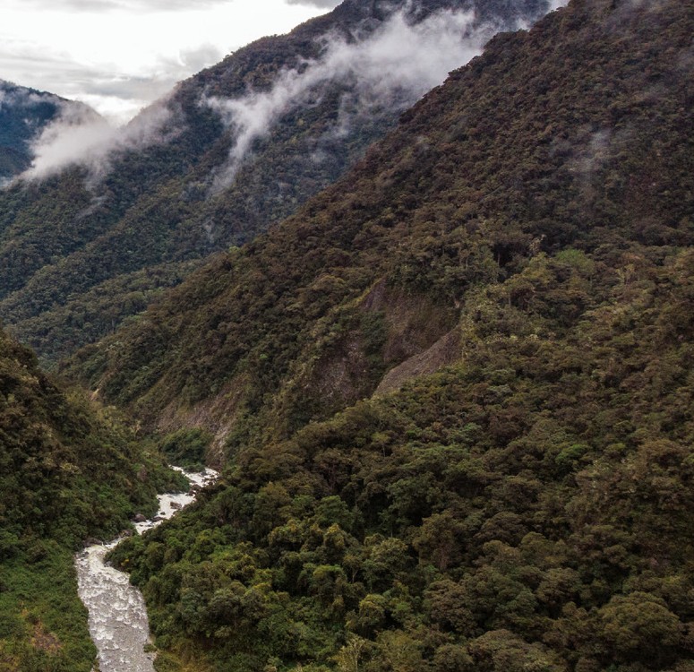 Centíficos descubren nueva especie de marsupial en Perú – Mongabay