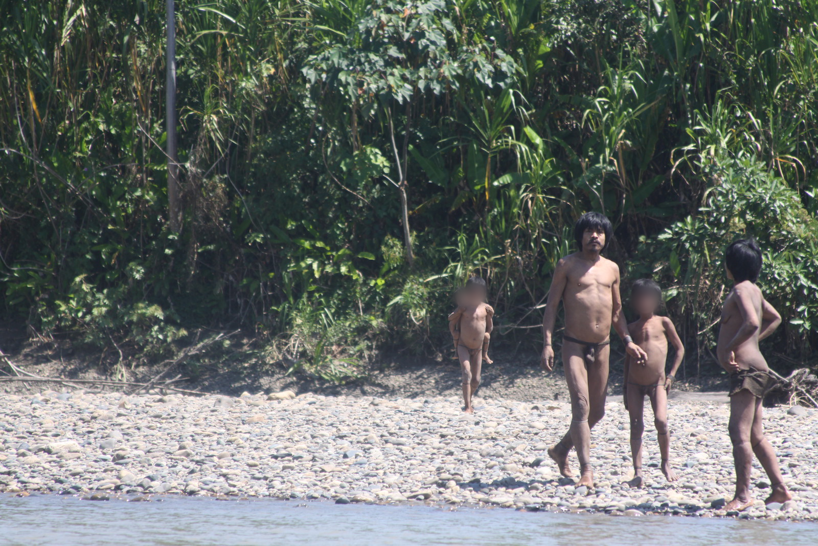 Familia Mashco Piro en la playa del río Alto Madre de Dios. Atender susproblemas de salud es complicado debido a que están en aislamiento. Crédito: FENAMAD.