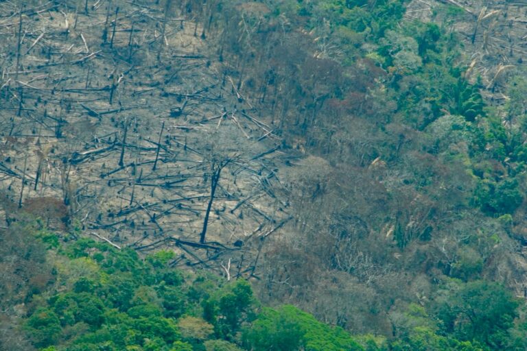 Áreas naturales deforestadas en Colombia