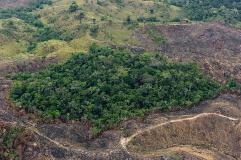 Área deforestada en la Amazonía colombiana
