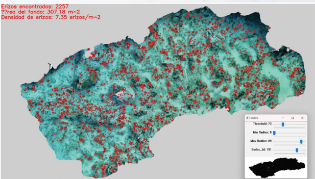 Imagen tridimensional usada en la evaluación de erizos con inteligencia artificial en el Archipiélago Juan Fernández. Foto: cortesía CIMARQ