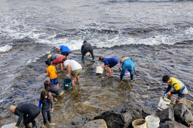 Playa Hanga Roa en Rapa Nui. Comunidad local hace extracción de erizo negro. Foto: cortesía CIMARQ.