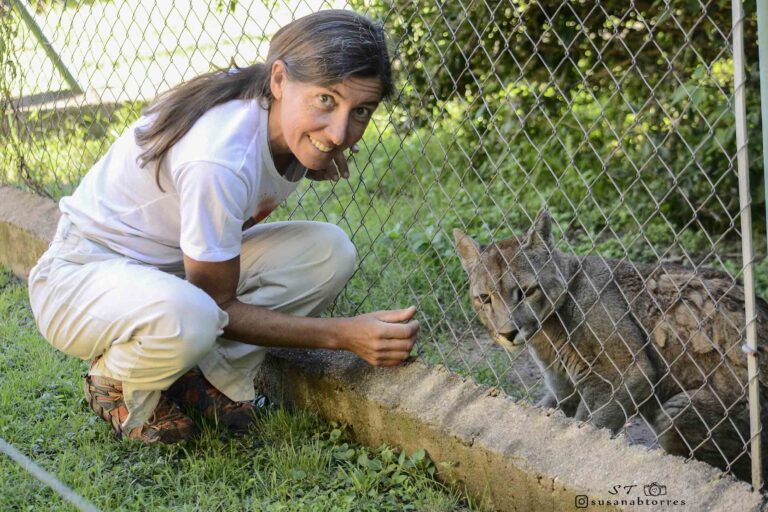 Argentina 6 Kai Pacha con Cacu - primera puma en Pumakahua - Foto Susana Torres
