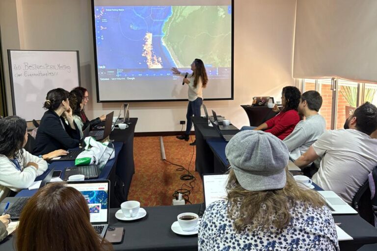 Michelle Carrere, editora de Mongabay Latam, presentó el taller sobre cómo usar Global Fishing Watch. Foto: Dalia Medina