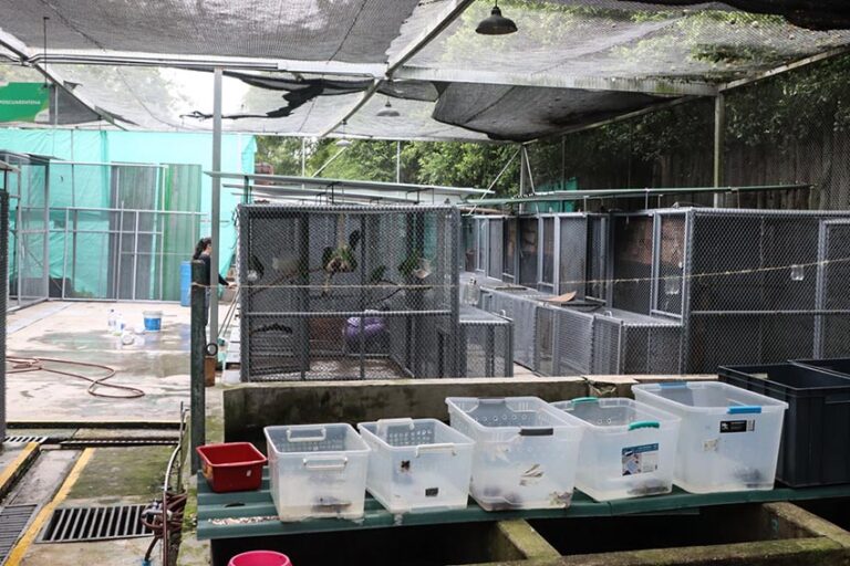 Colombia 2 Contenedores piscinas concreto jaulas tortugas aves felinos Cali - Foto Santiago Wills