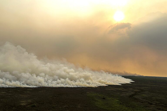 Brasil 7 - Incendio Pantanal Mato Grosso Brasil 2023 - Foto Joédson Alves - Agência Brasil