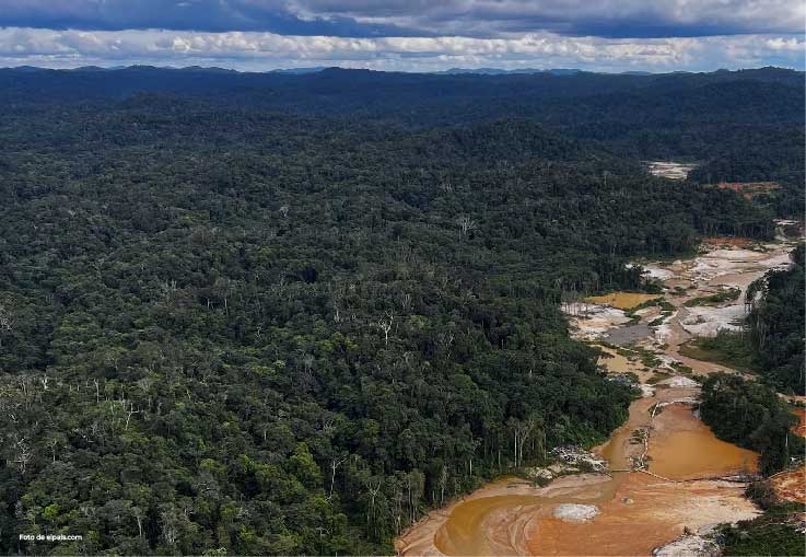 Foto panorámica en la Amazonía colombiana