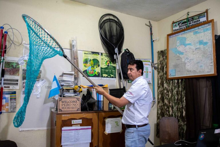Guatemala 8 - Técnico del CONAP muestra red para rescate de felinos - Foto Christian Gutiérrez