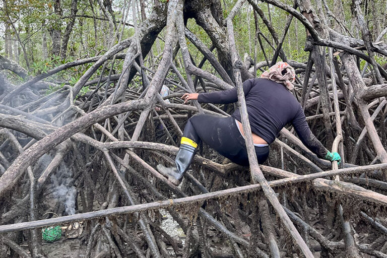 Colombia 5b - tiestero con humo para espantar insectos al piangüar - Foto Laila Abu Shihab Vergara