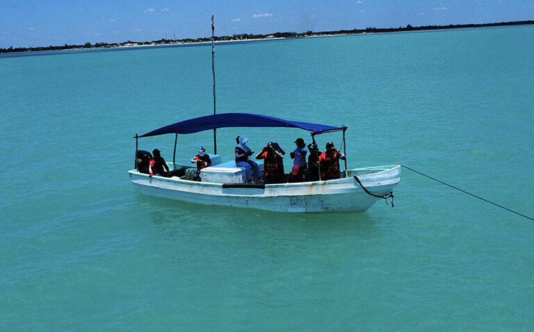 Las mujeres se han convertido en la cara visible de la protección de los recursos marinos. Foto: cortesía Patricio Medrano