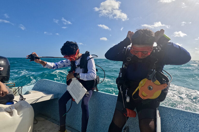 Son 10 mujeres en Río Lagartos, Celestún y San Felipe las que realizan monitoreos para evaluar los niveles de conservación mar adentro. Foto: cortesía Natalia Gutiérrez