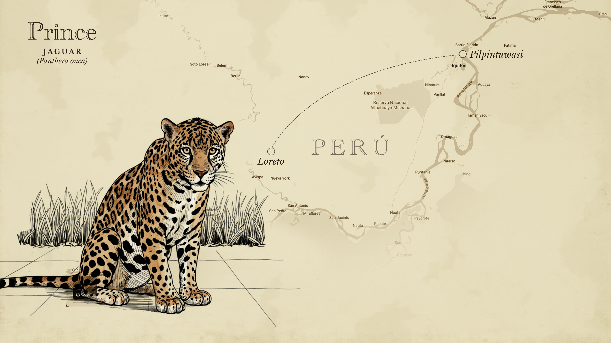 Ilustración de Alma Ríos.