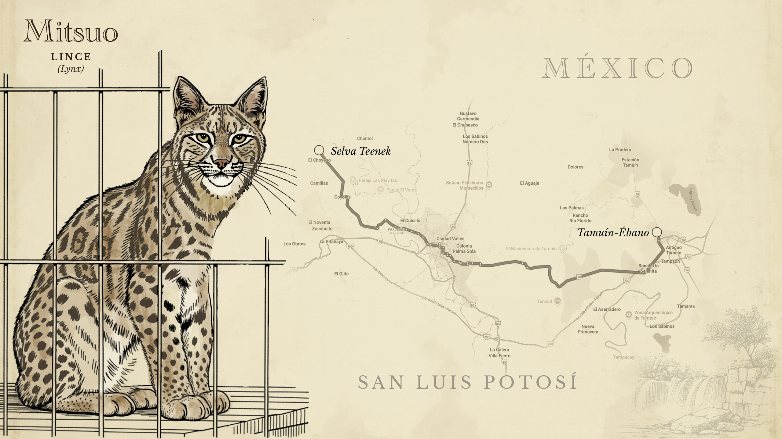 Ilustración de Alma Ríos.