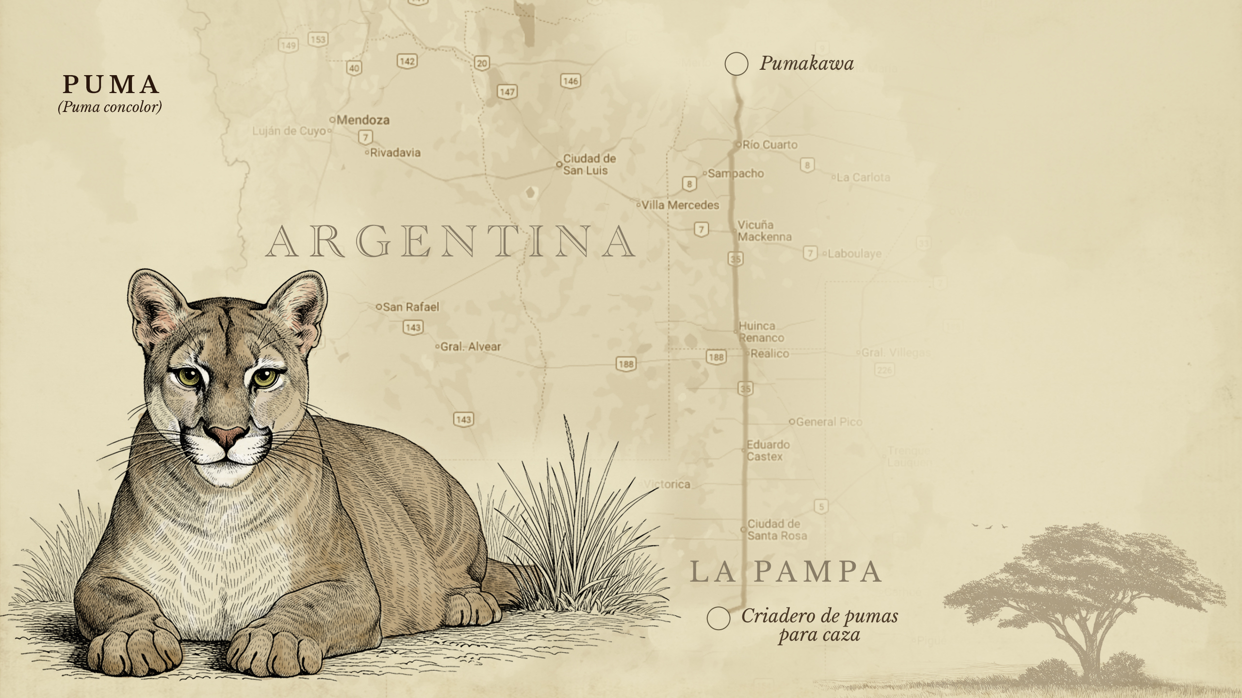 Ilustración de Alma Ríos.