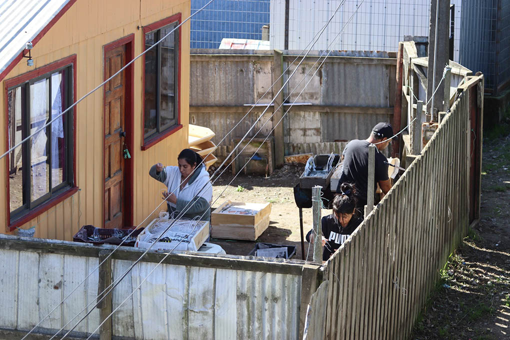 En la Caleta de Lebu es comun ver familias completas encarnando espineles en el patio de sus casas - Foto Francisco Velásquez