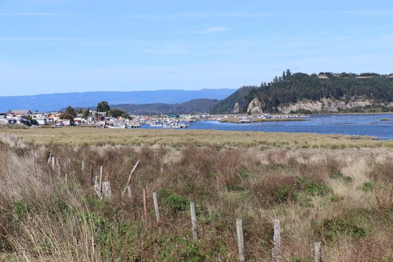 Caleta de Tubul, Región del Biobío - Foto Francisco Velásquez
