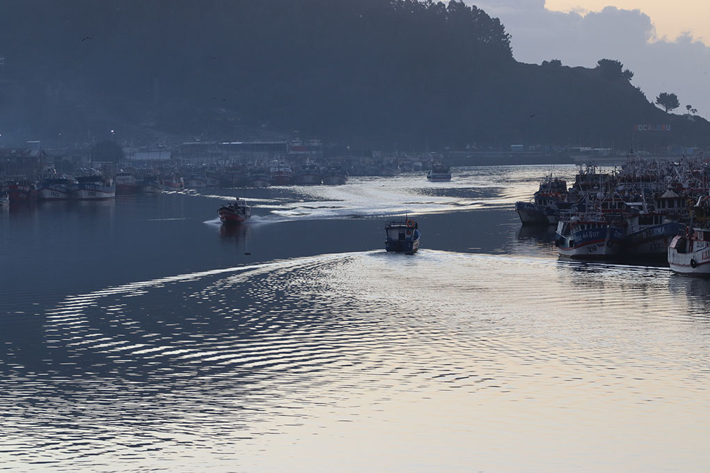 Caleta de Lebu, región del Biobío - Foto Francisco Velásquez