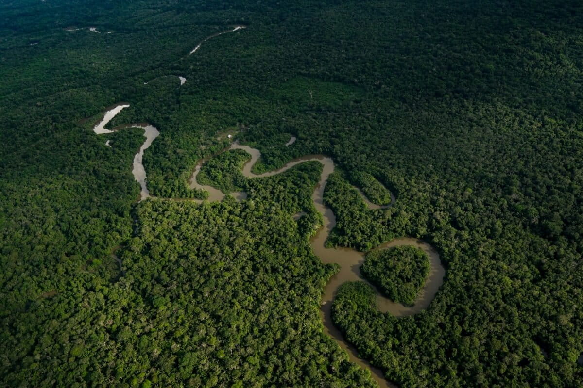 Foto aérea de selva amazónica en Colombia